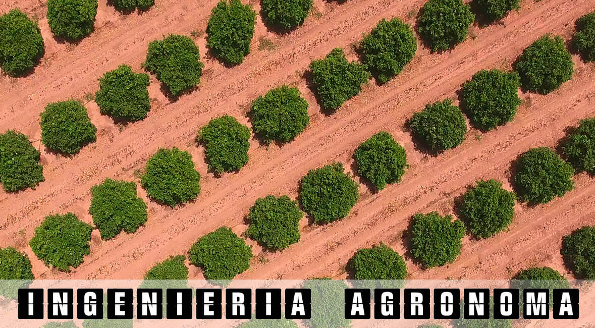 alquiler drones madrid agronomo