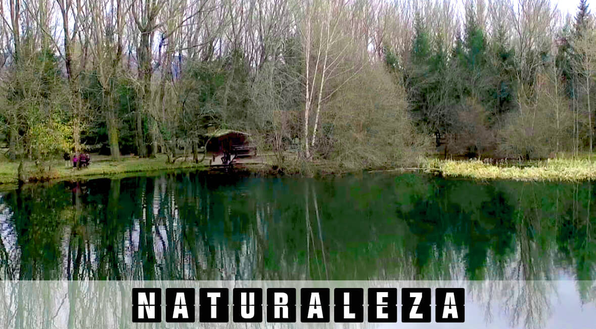 alquiler drones madrid naturaleza