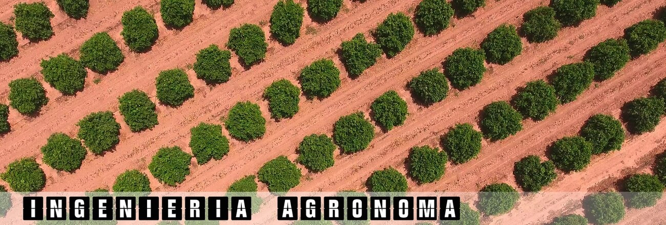 Ingenieria agronoma con dron