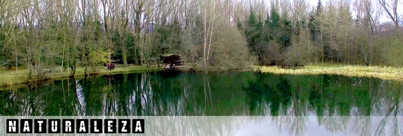 video y foto con dron de parques naturales y eventos al aire libre